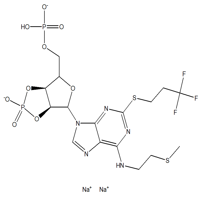 CANGRELOR IMPURITY 10